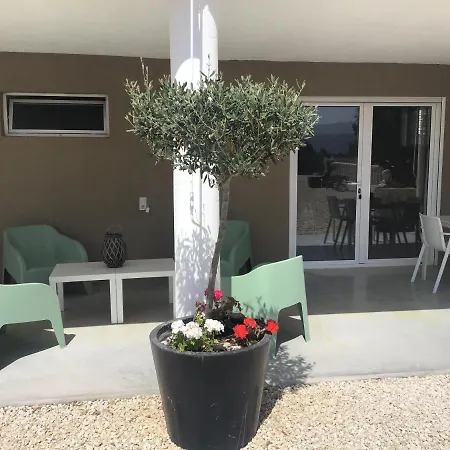 Atidos (adults Only) 4*